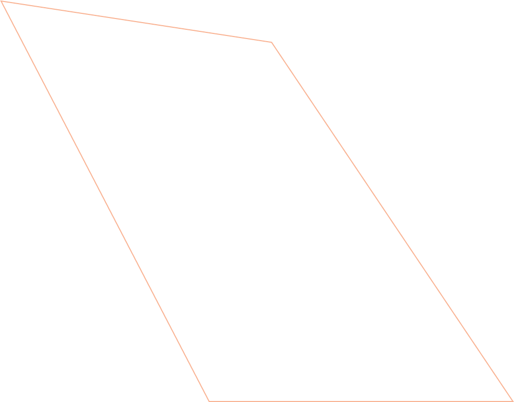 orange vector